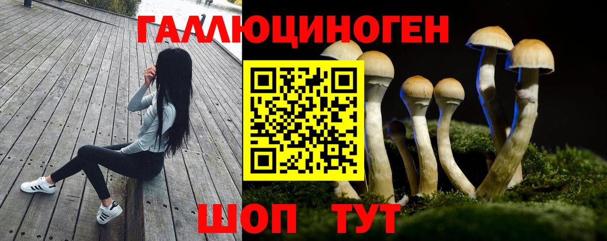 Псилоцибиновые грибы GOLDEN TEACHER Воскресенск
