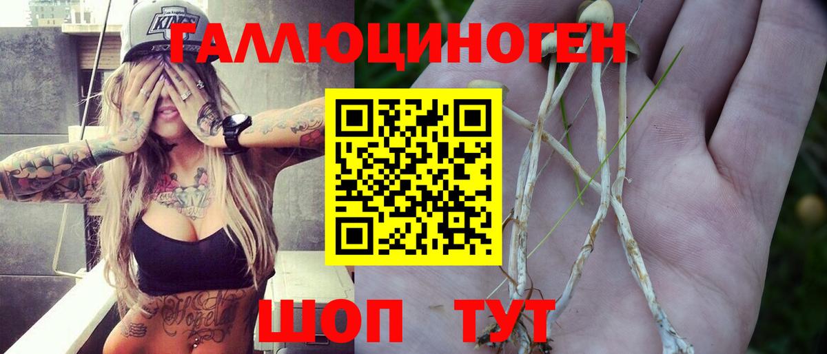 Воскресенск  Псилоцибиновые грибы Magic Shrooms  Вход с VPN 